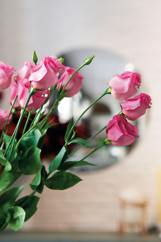 [08] Escoger un ramo. [02] Una rosa es una rosa
